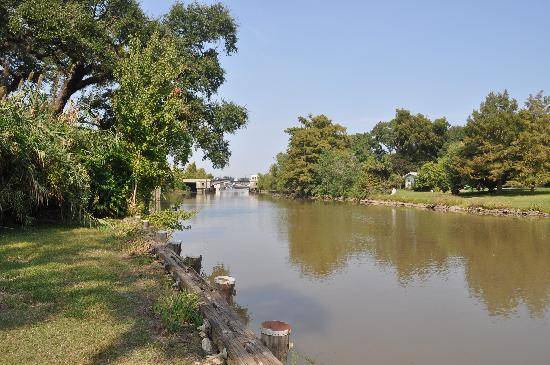bayou-teche-shadows-on.jpg