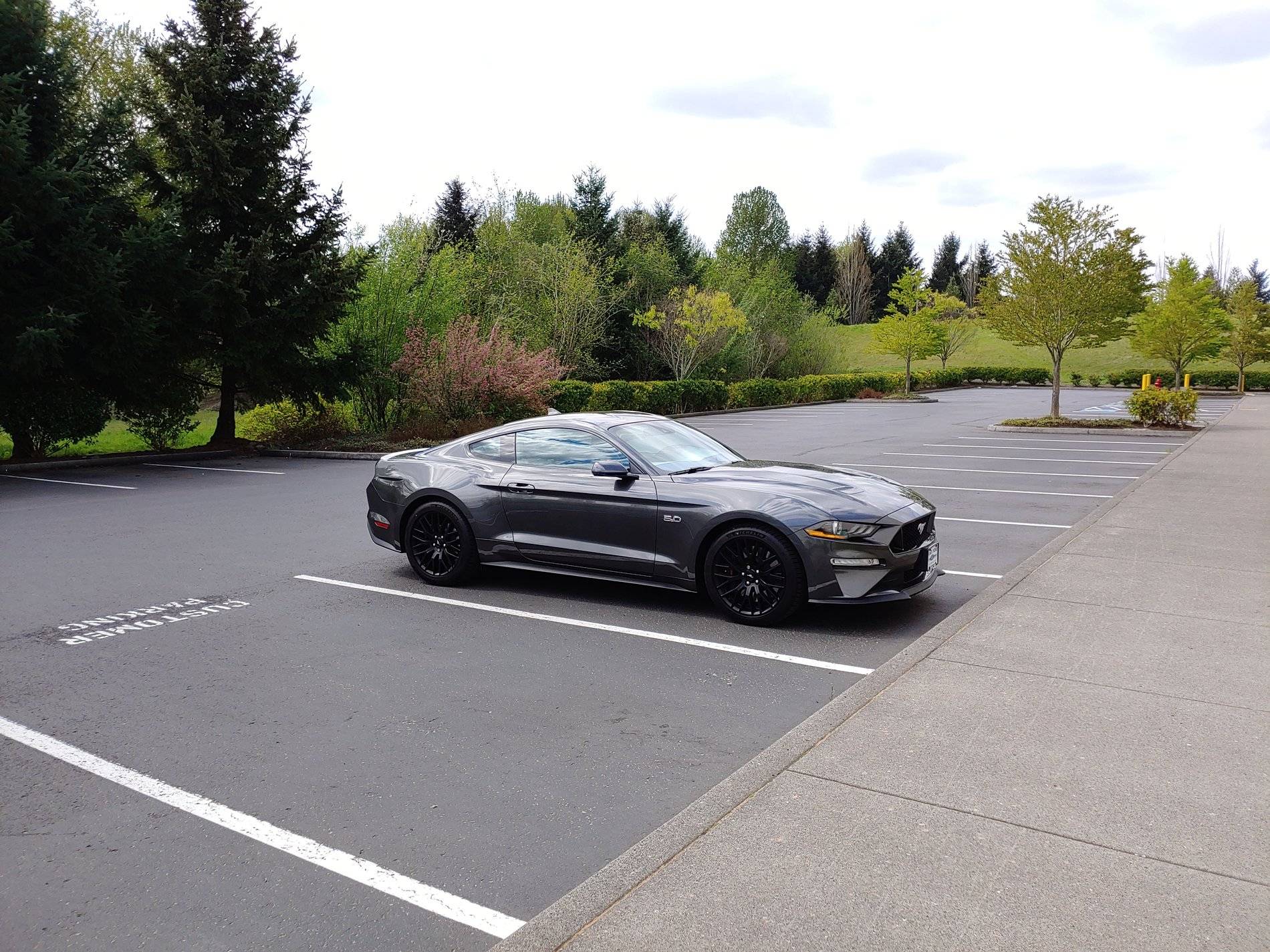 20200419_122655_HDR.jpg