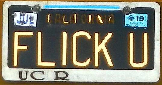FLICK_U_LicenseCrop538X.jpg