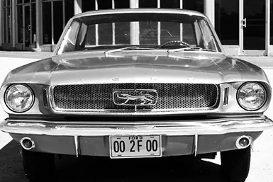gale-haldermanfordmustangcougardesign.webp