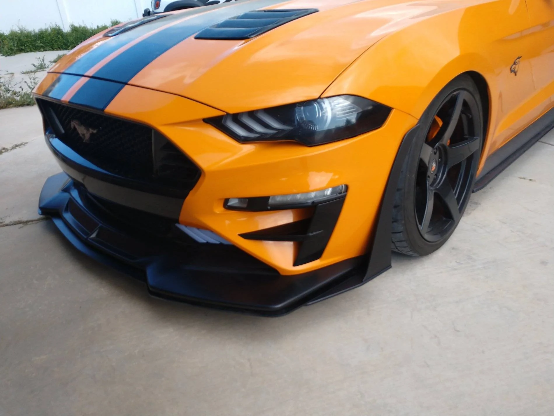 IMG_20200405_155711594.webp