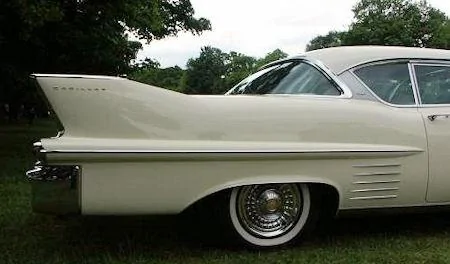 tail-fins-L-_L0YTV.webp