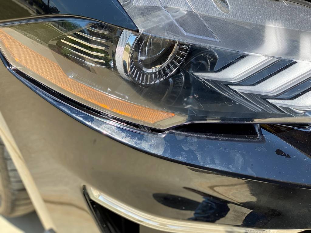 mustnag bumper.jpg