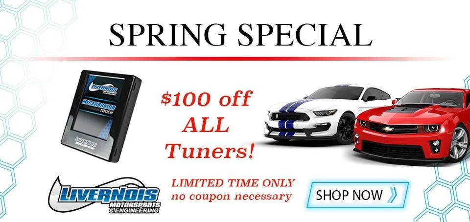 spring sale v2.webp