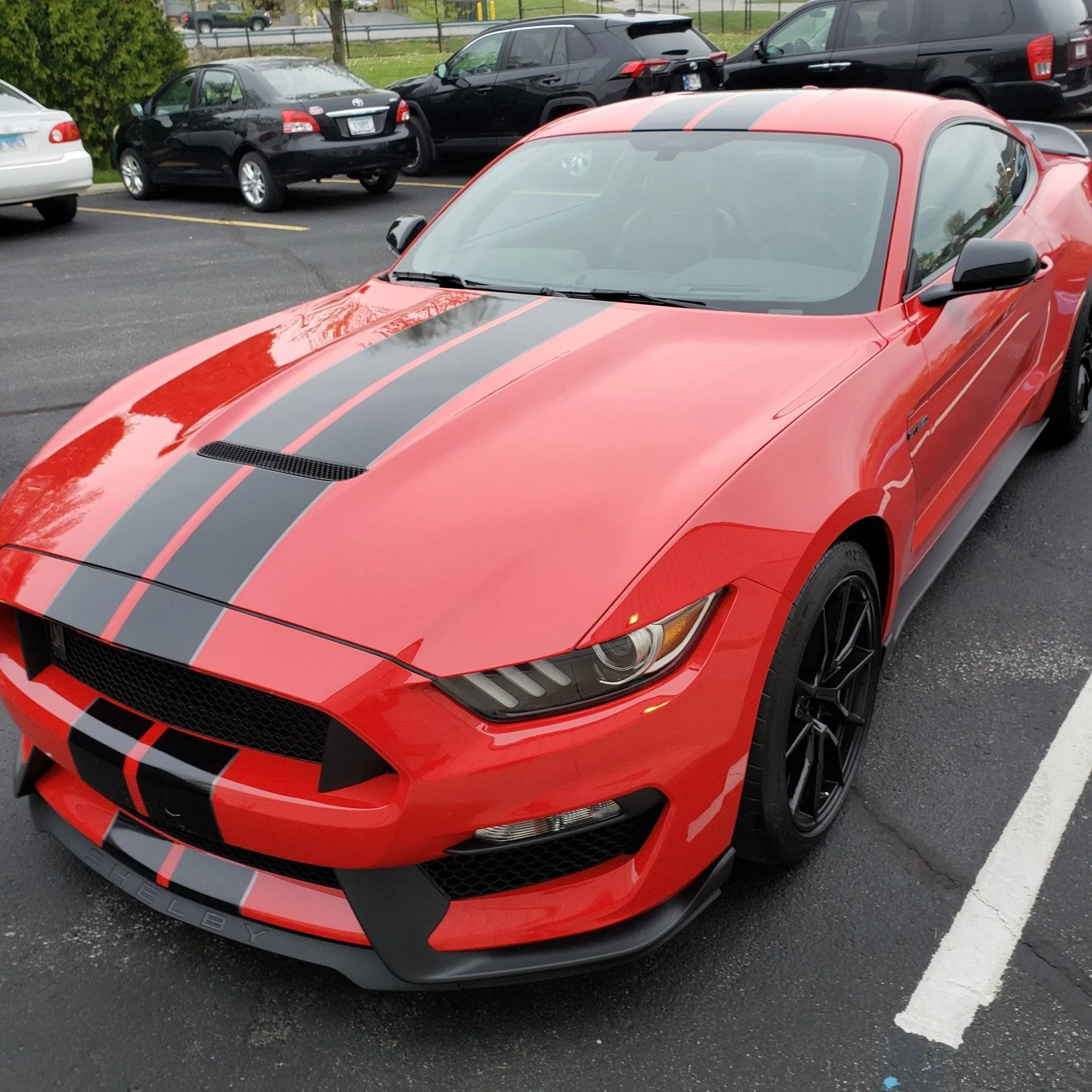 GT350.webp