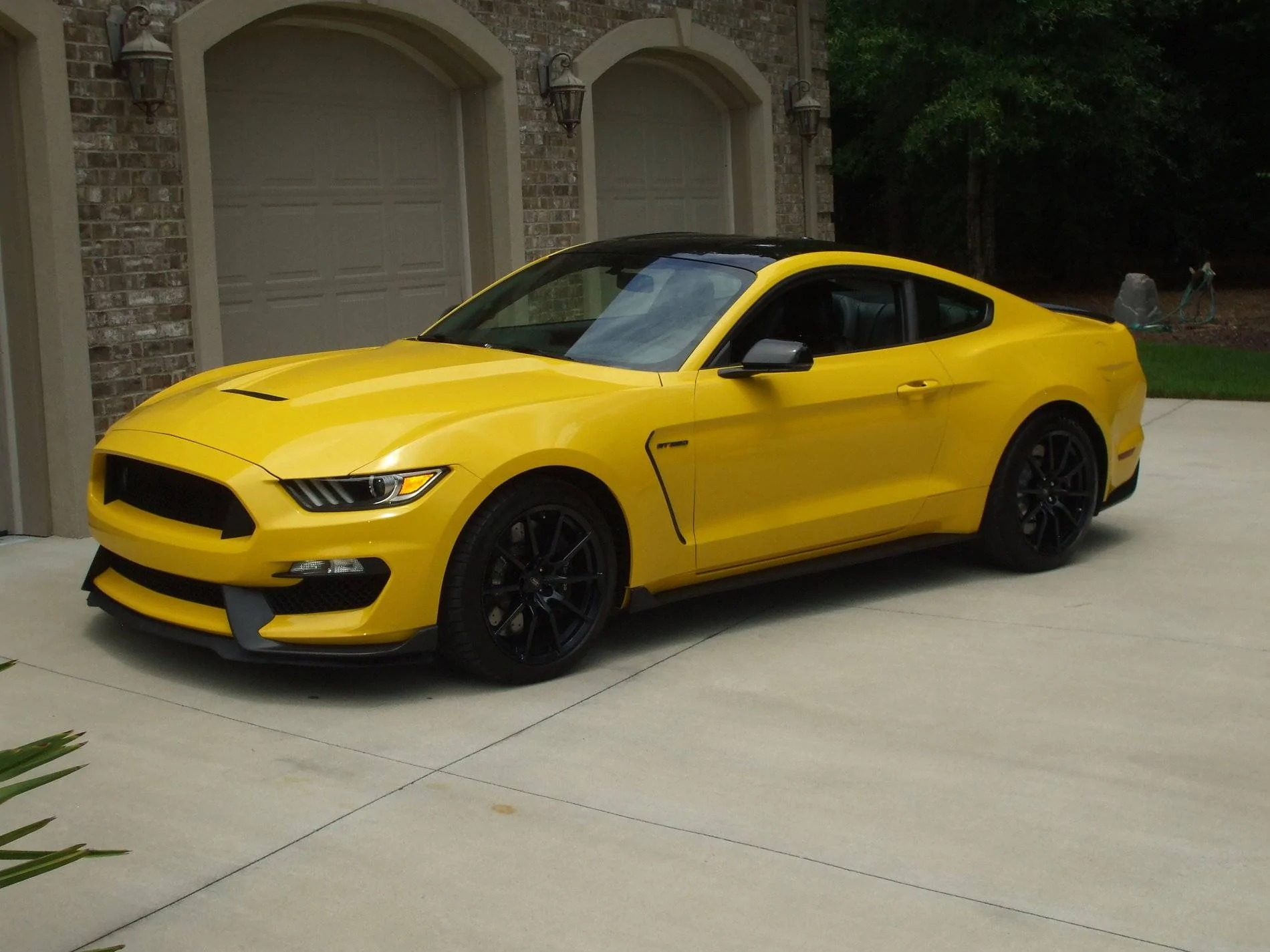 DSCF1575.webp