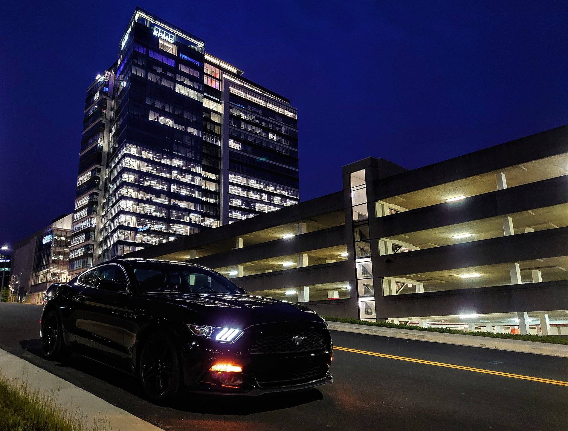Mustang 2015.jpg