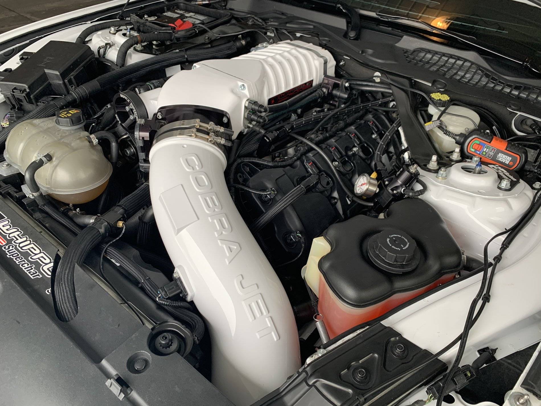 37469B1E-E14B-4C25-A9DA-8409108FCA55.jpeg