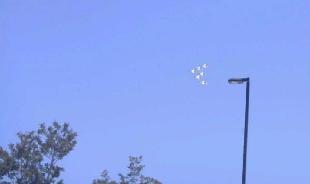 Thunderbirds_DSCN7302.webp