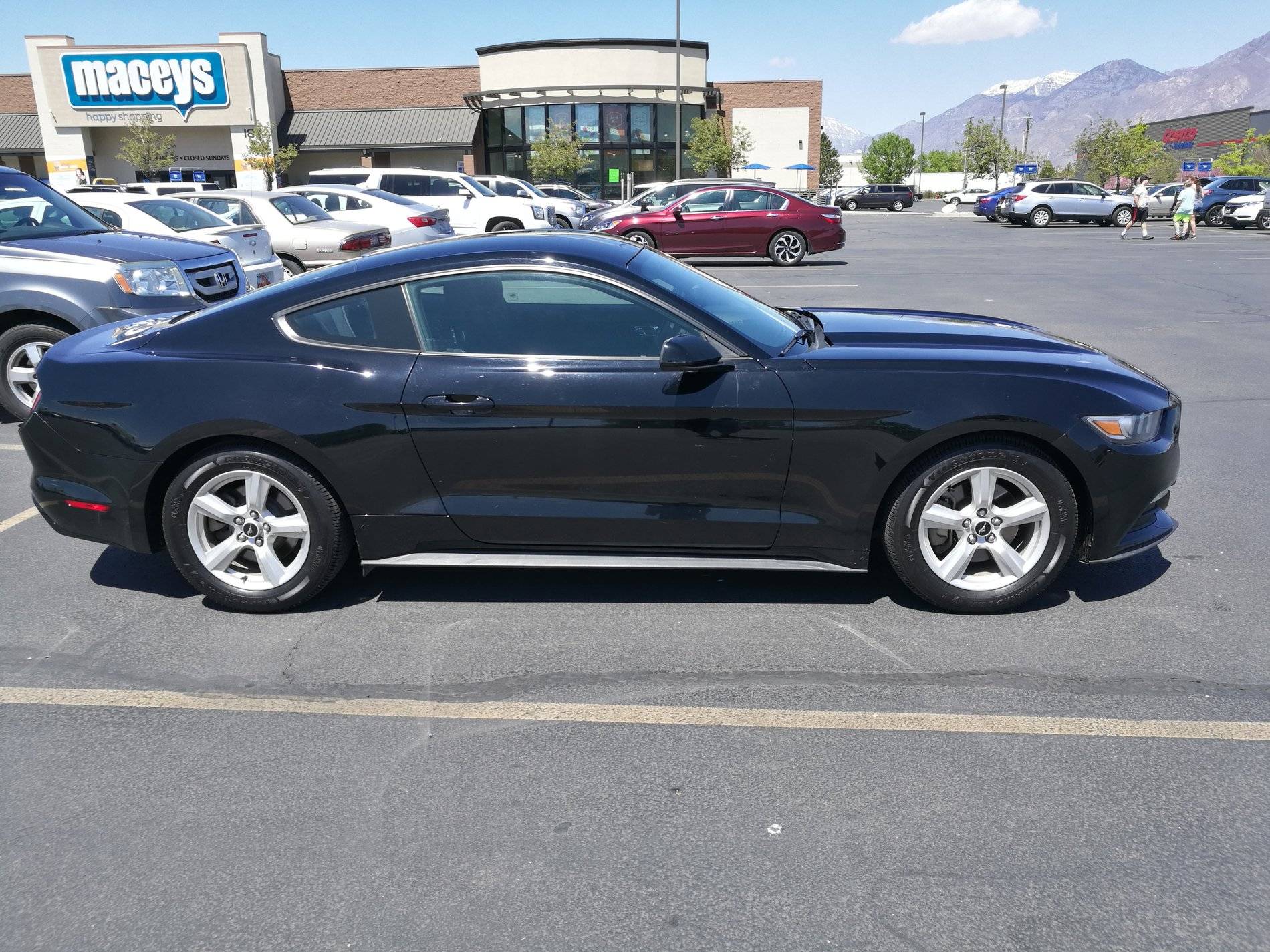 Mustang.jpg