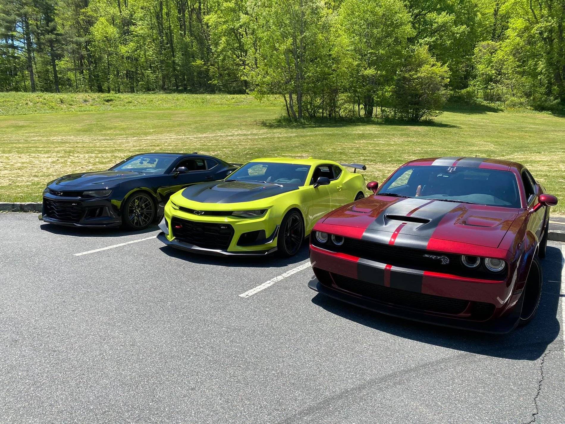 SHELBY friends.jpg