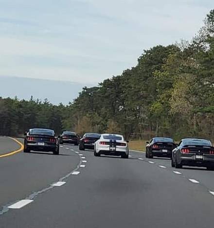 GardenState.jpg