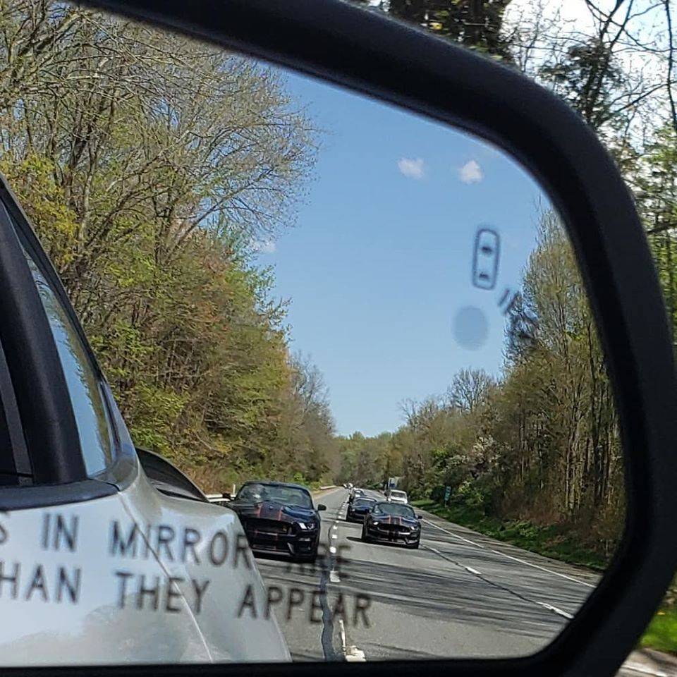 95212247.jpg