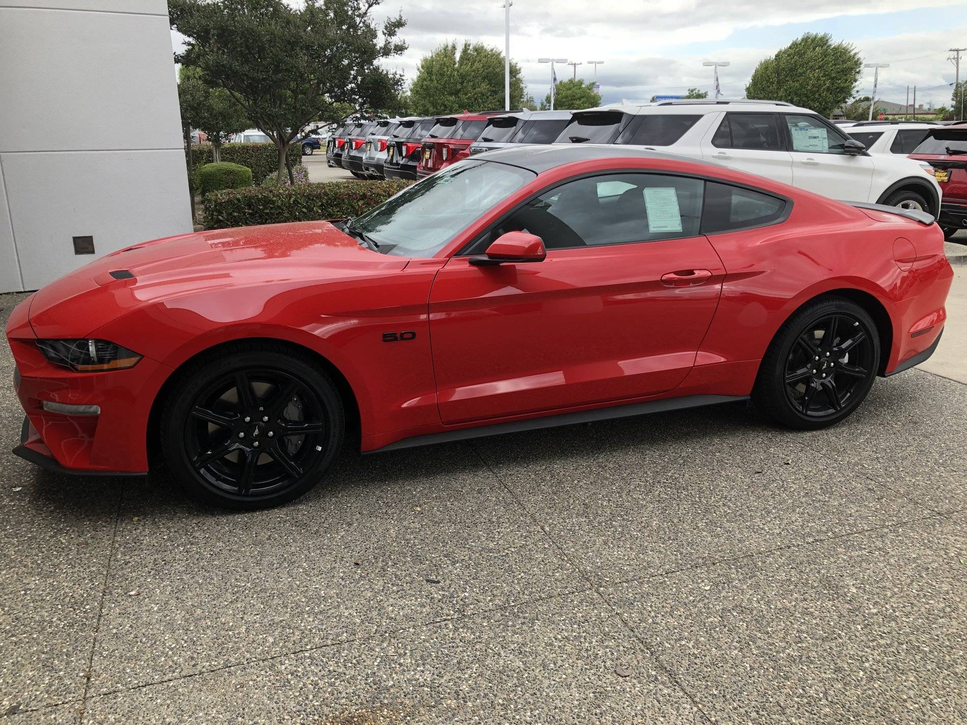 Red Stang.jpg