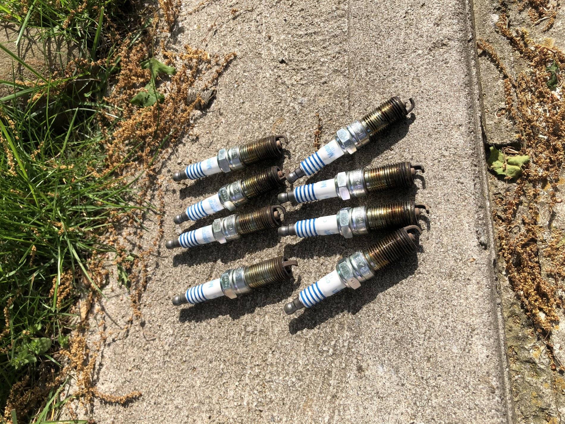 OEM Spark Plugs 1.JPG