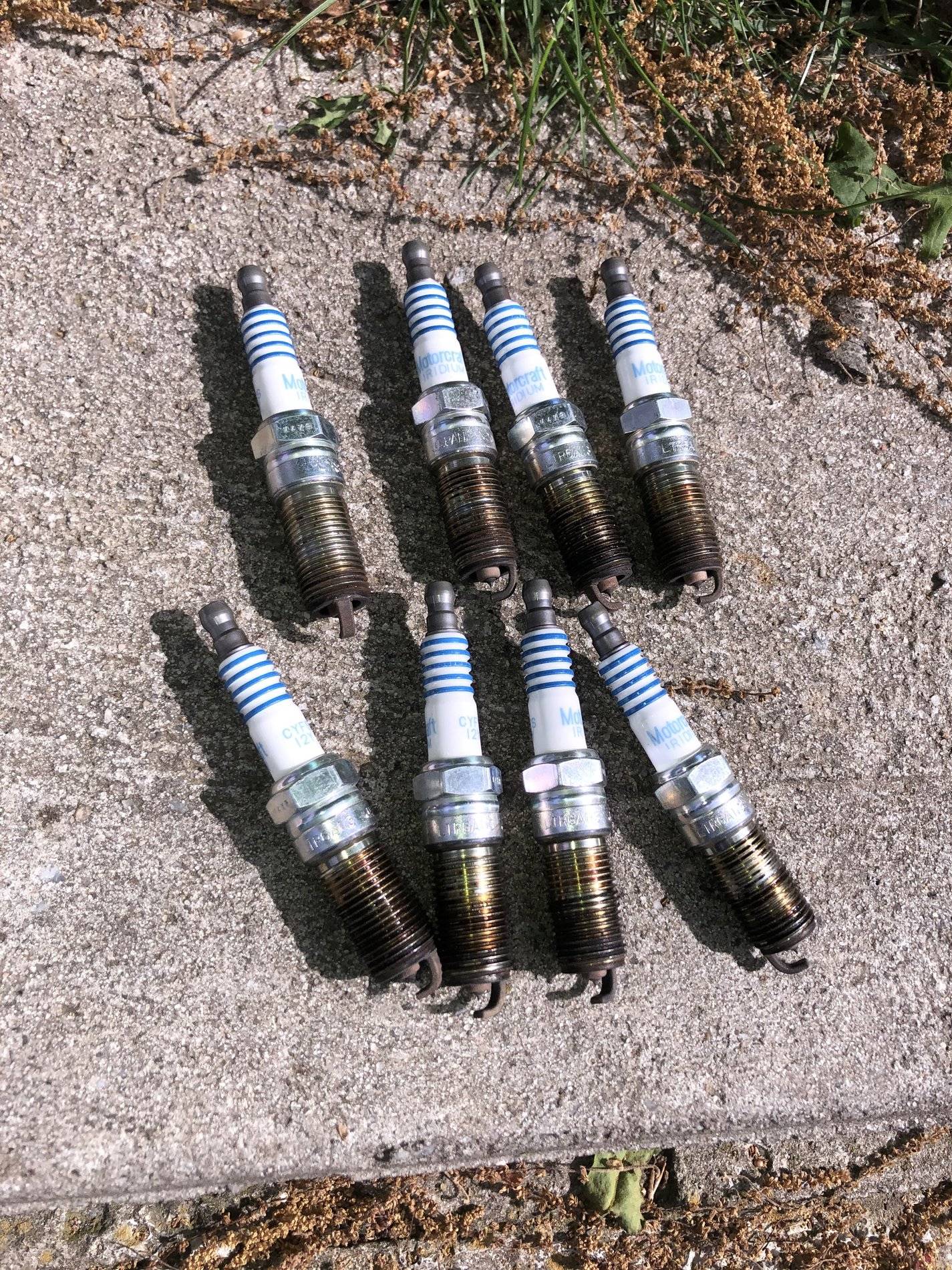 OEM Spark Plugs 2.JPG