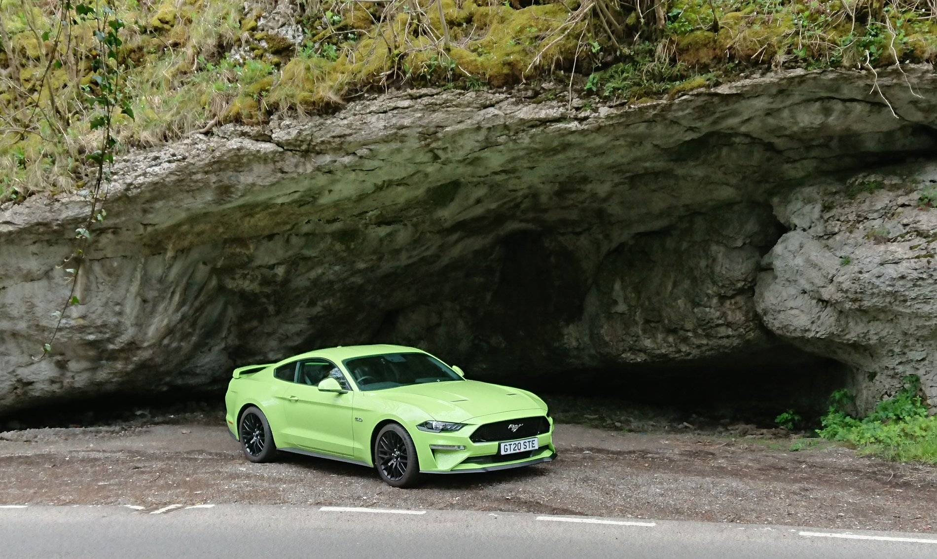 My  stang.jpg