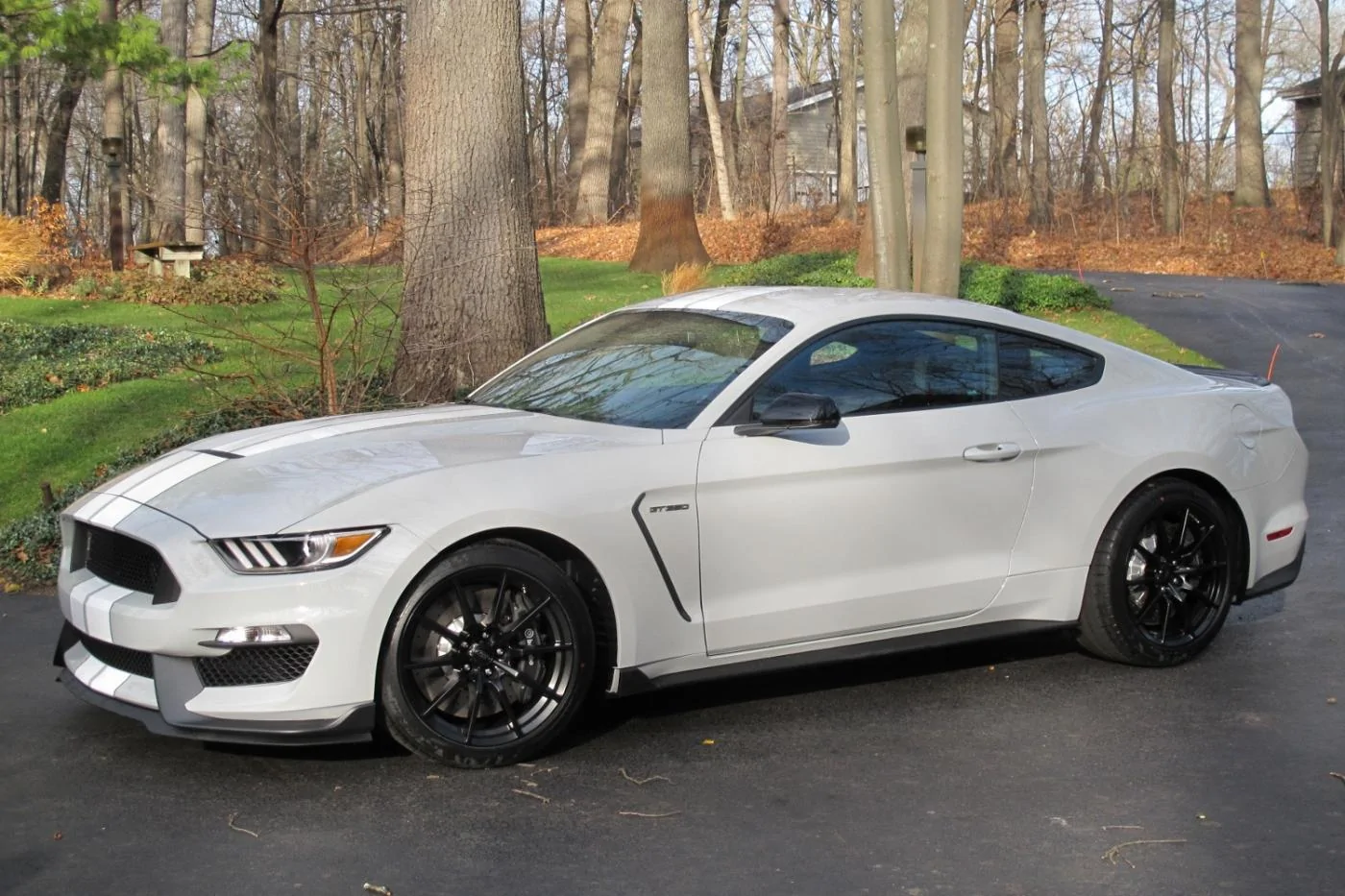 GT350 FIRST DAY HOME (1500x1000).webp