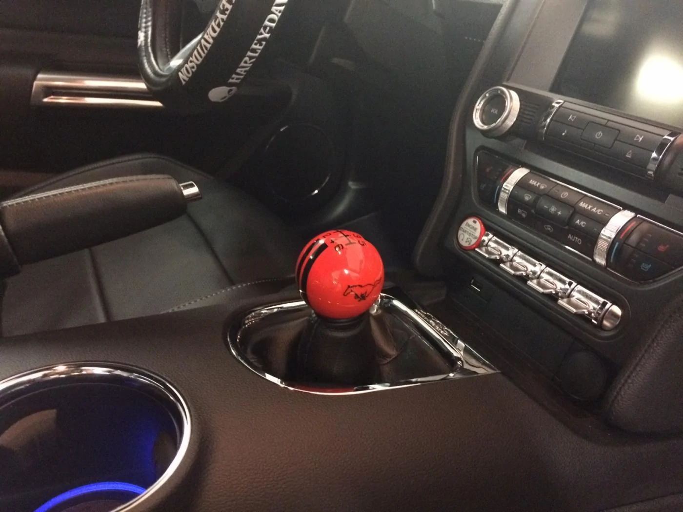 image1 (1).webp