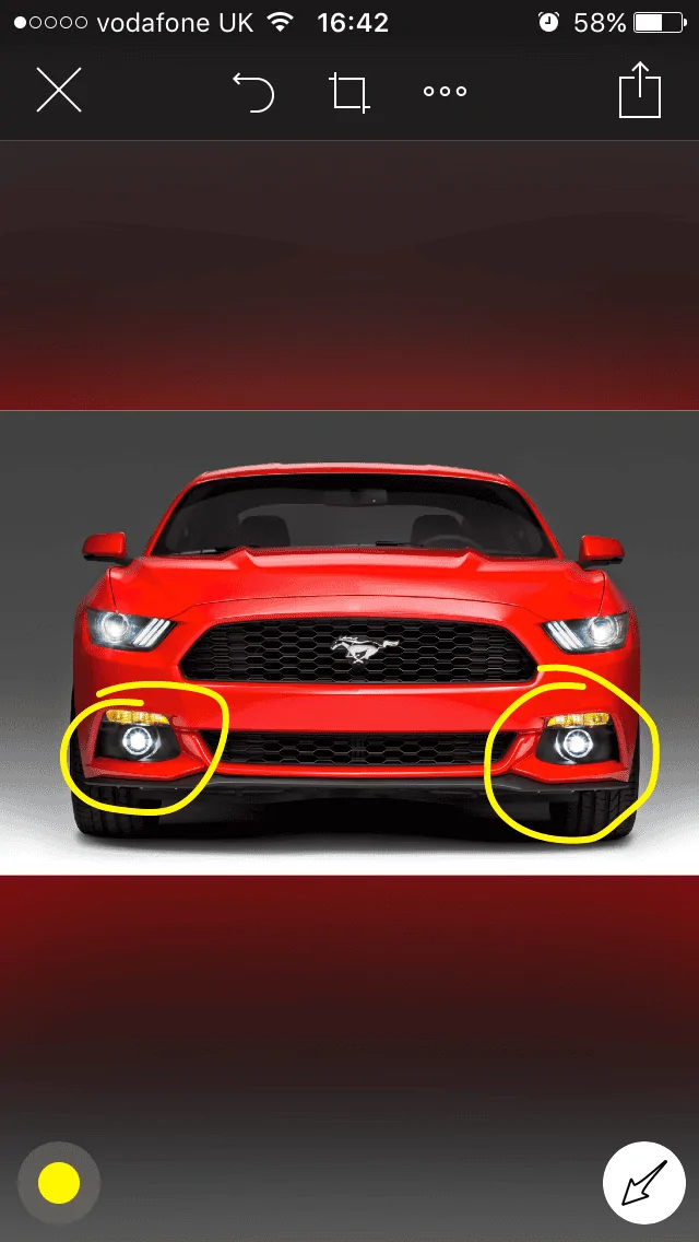 image.webp