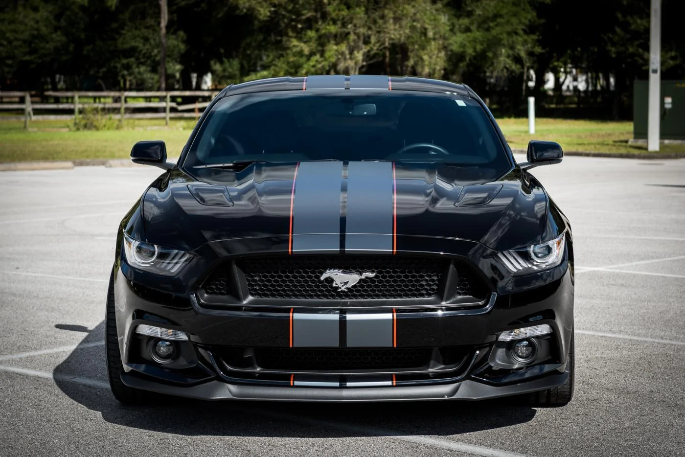 MustangFront.webp