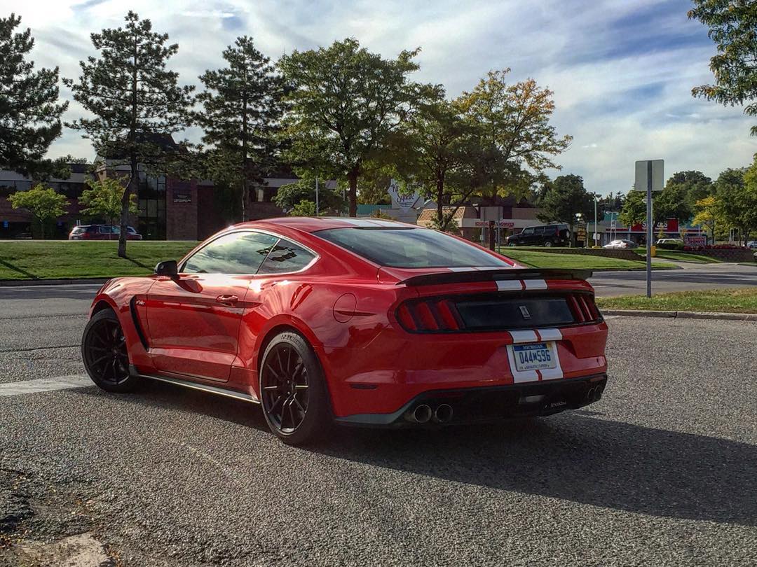 rred rear.jpg