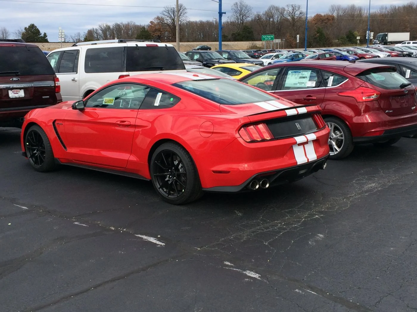 IMG_0259.webp
