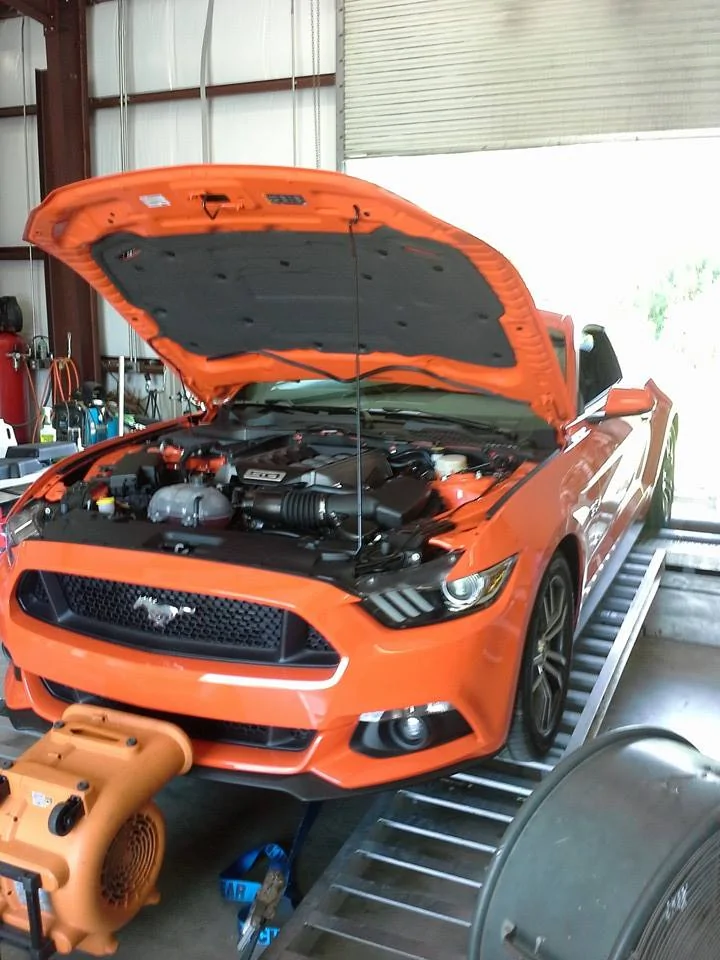 2015 on Dyno.webp