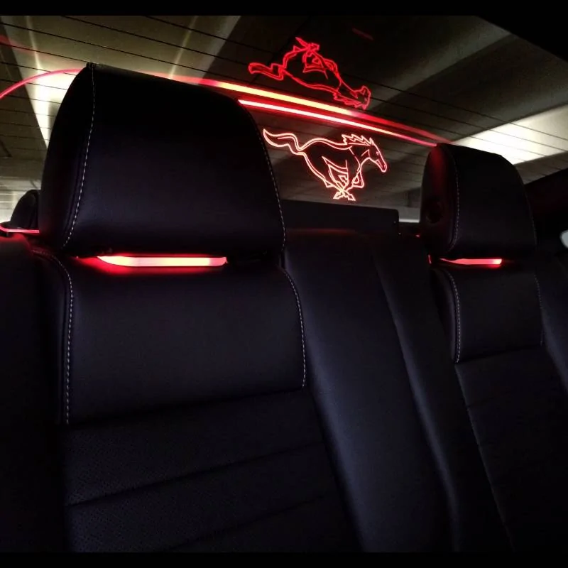 mustang_29b800x800.webp