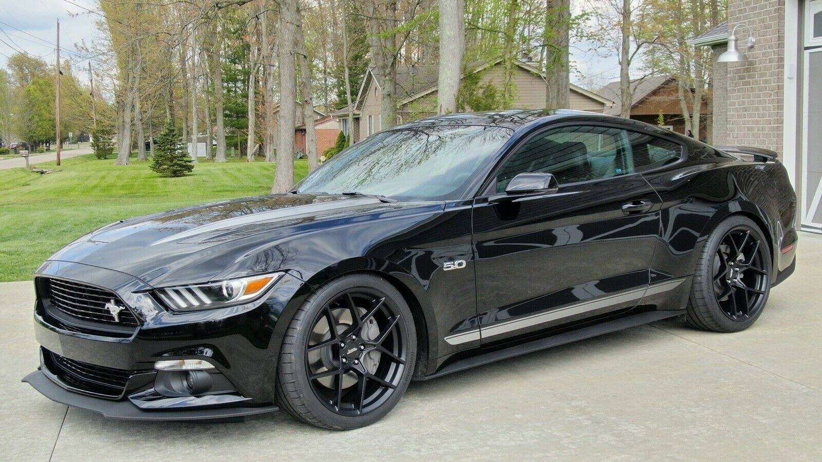 GT03g.JPG