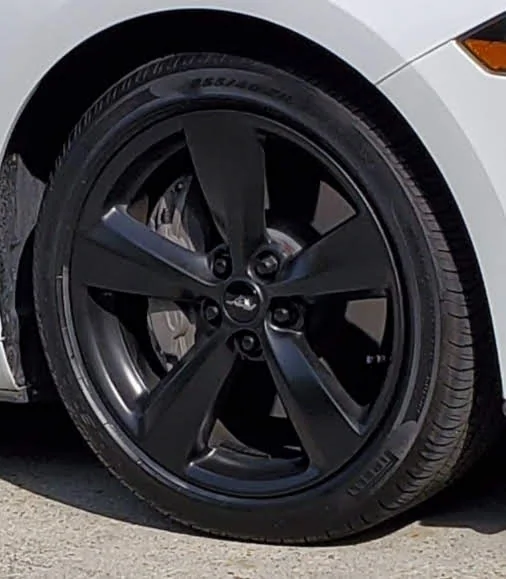 plastidip.webp