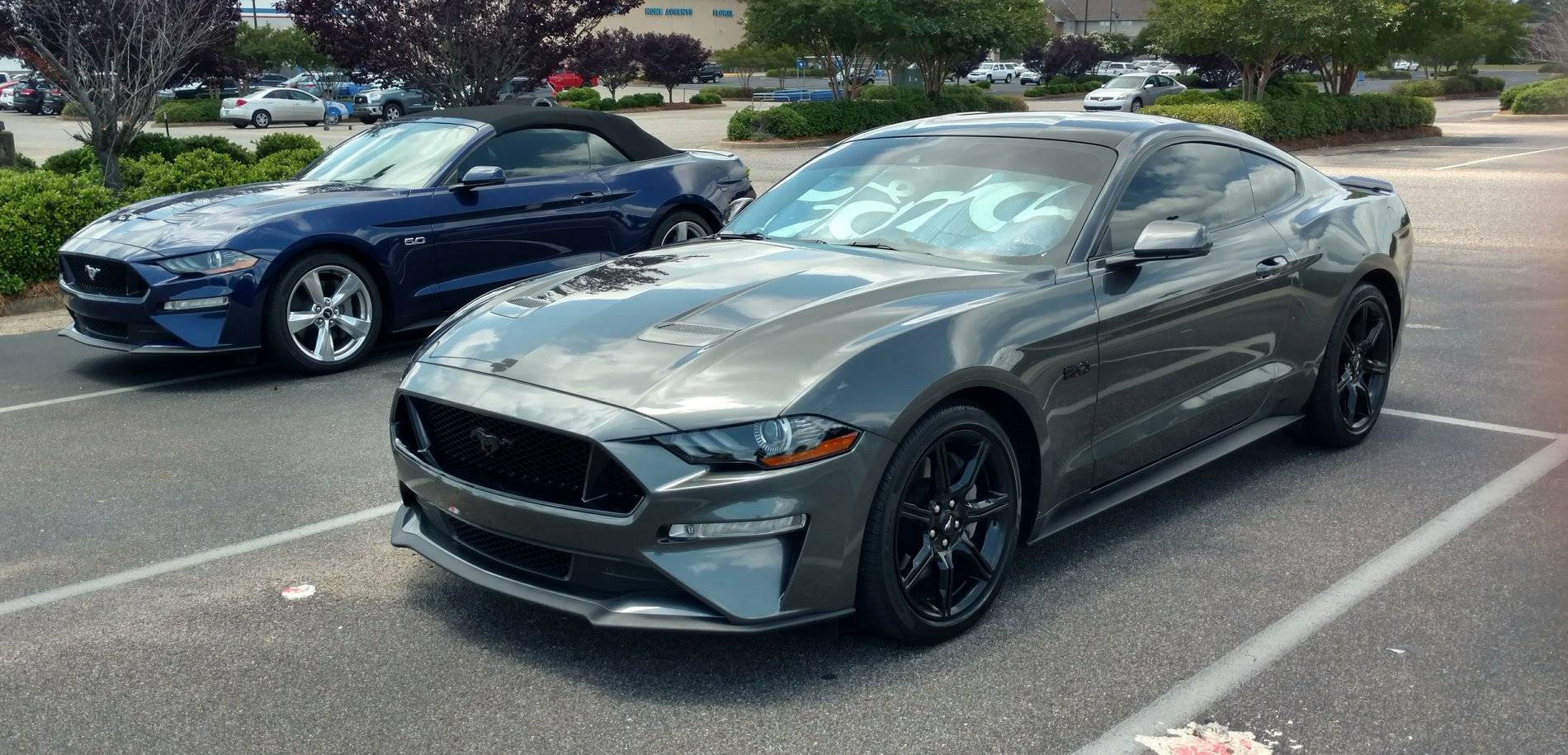 Mustang x2.jpg