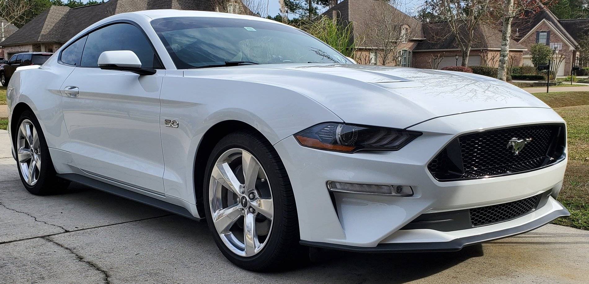 mymustangnew.jpg