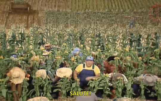 a969e175ddf79e612dfb89750cbd44e5.gif
