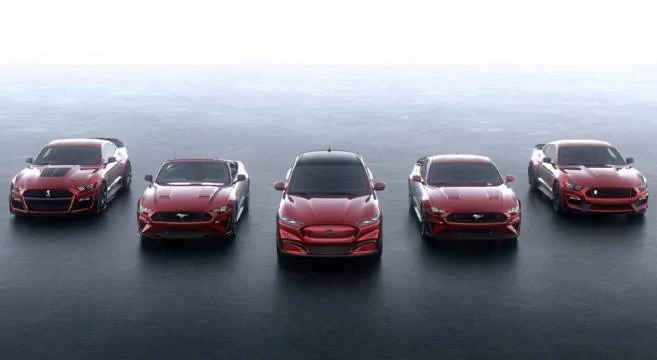 mustang-family-photo-657x360.webp
