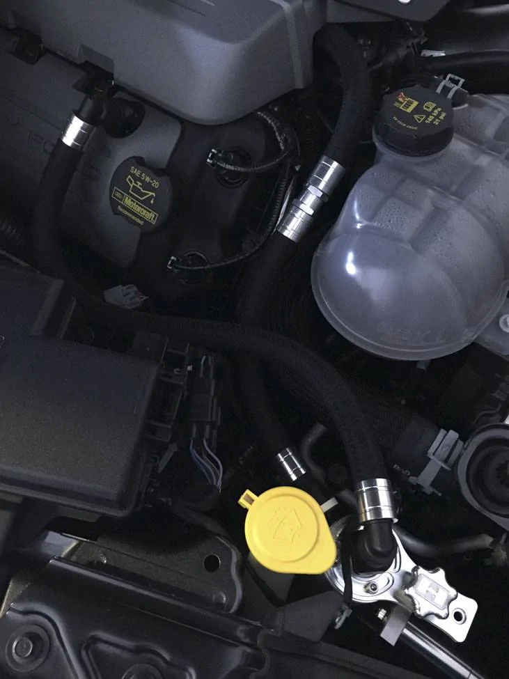 picture.webp