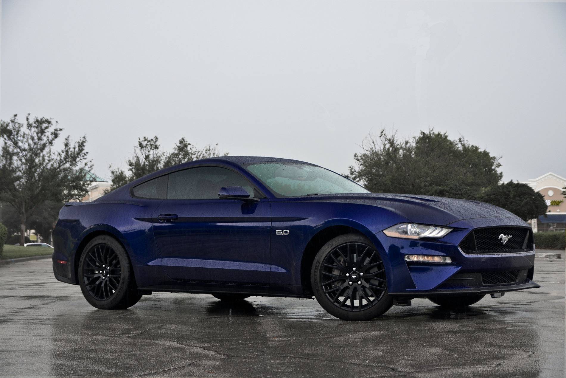 rsz_dsc_3235-edit.jpg