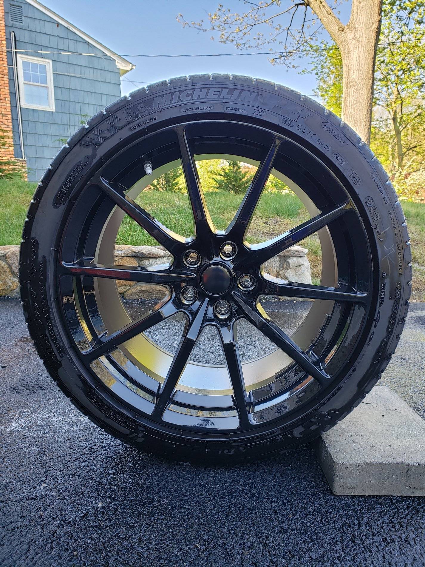 Rear_1.jpg