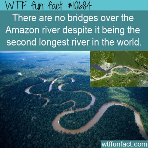 1a4d7c0d6c668d14ff6c611d3560283d6c7587c0.jpg