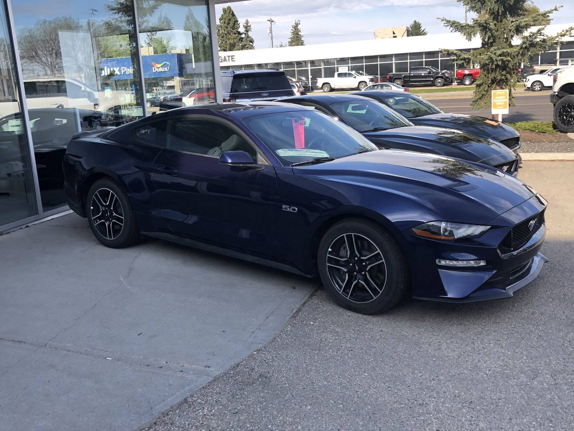 Stang.jpeg