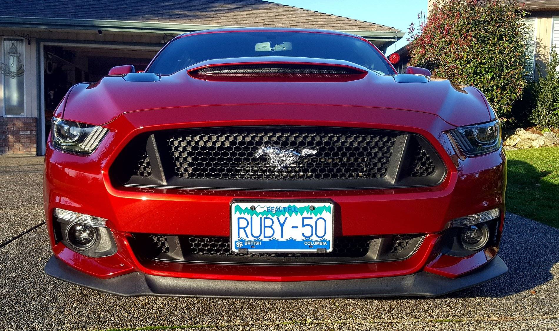 20181116_175050.jpg