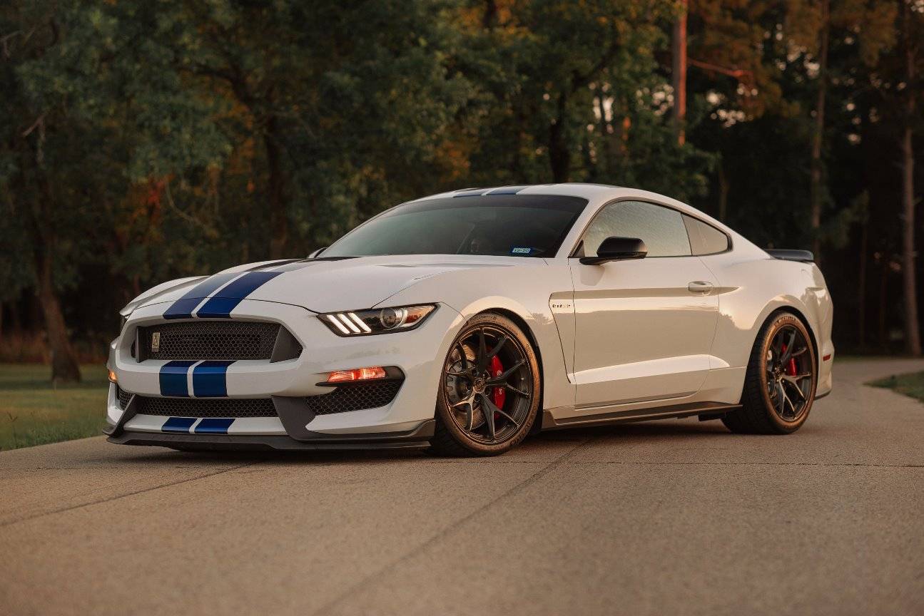 Shelby GT350-1.jpg