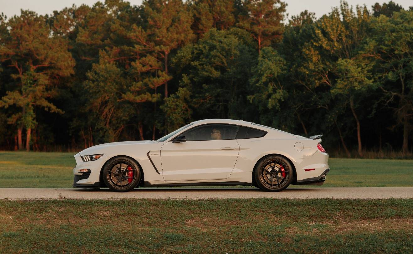 Shelby GT350-3.jpg