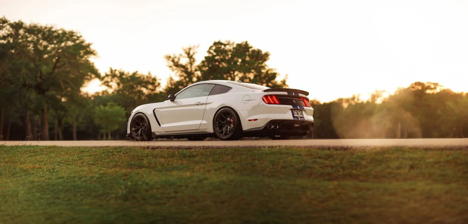 Shelby GT350-5.webp