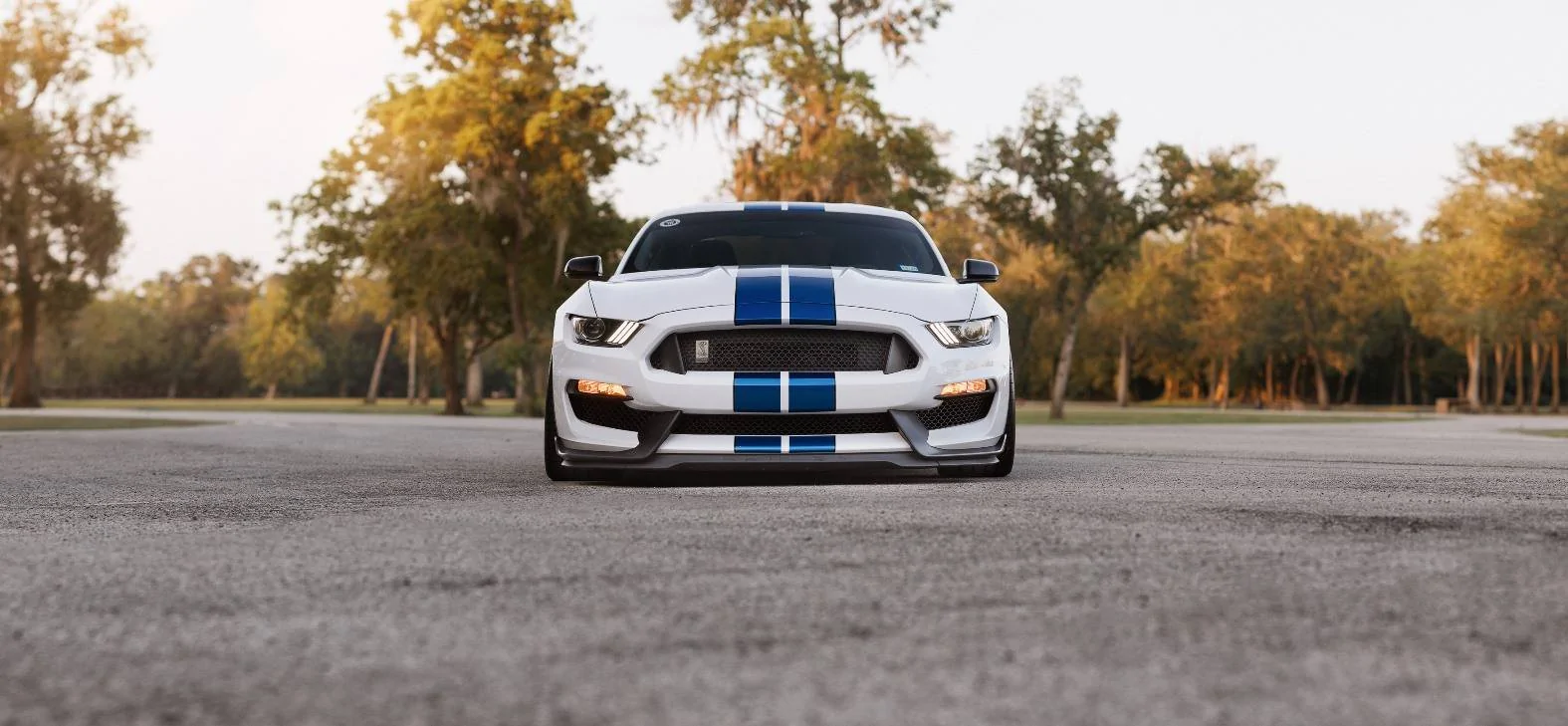 Shelby GT350-4.webp