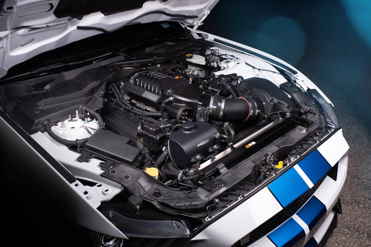 Shelby GT350-9.jpg