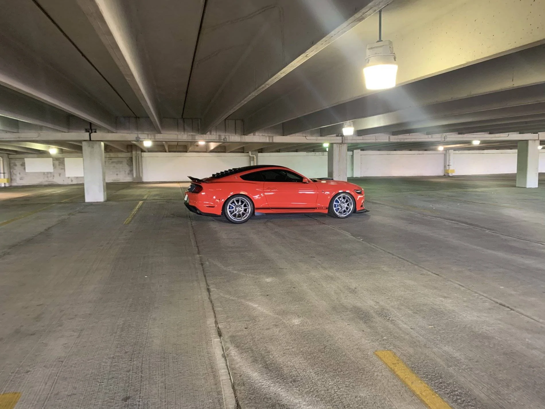 0452D031-AE38-467D-A4B6-71EF7AD3764A.webp
