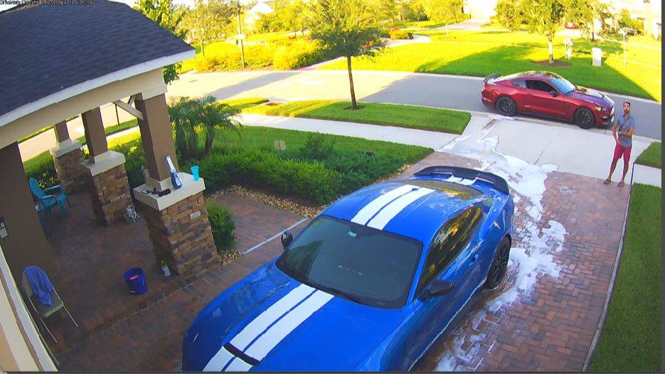 2 Shelby's.JPG