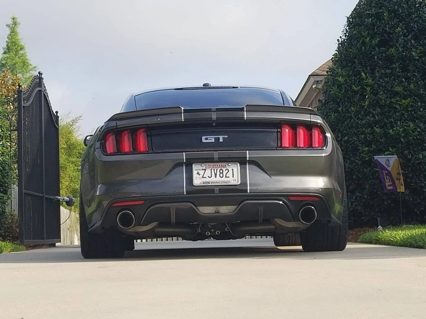 Rear.webp