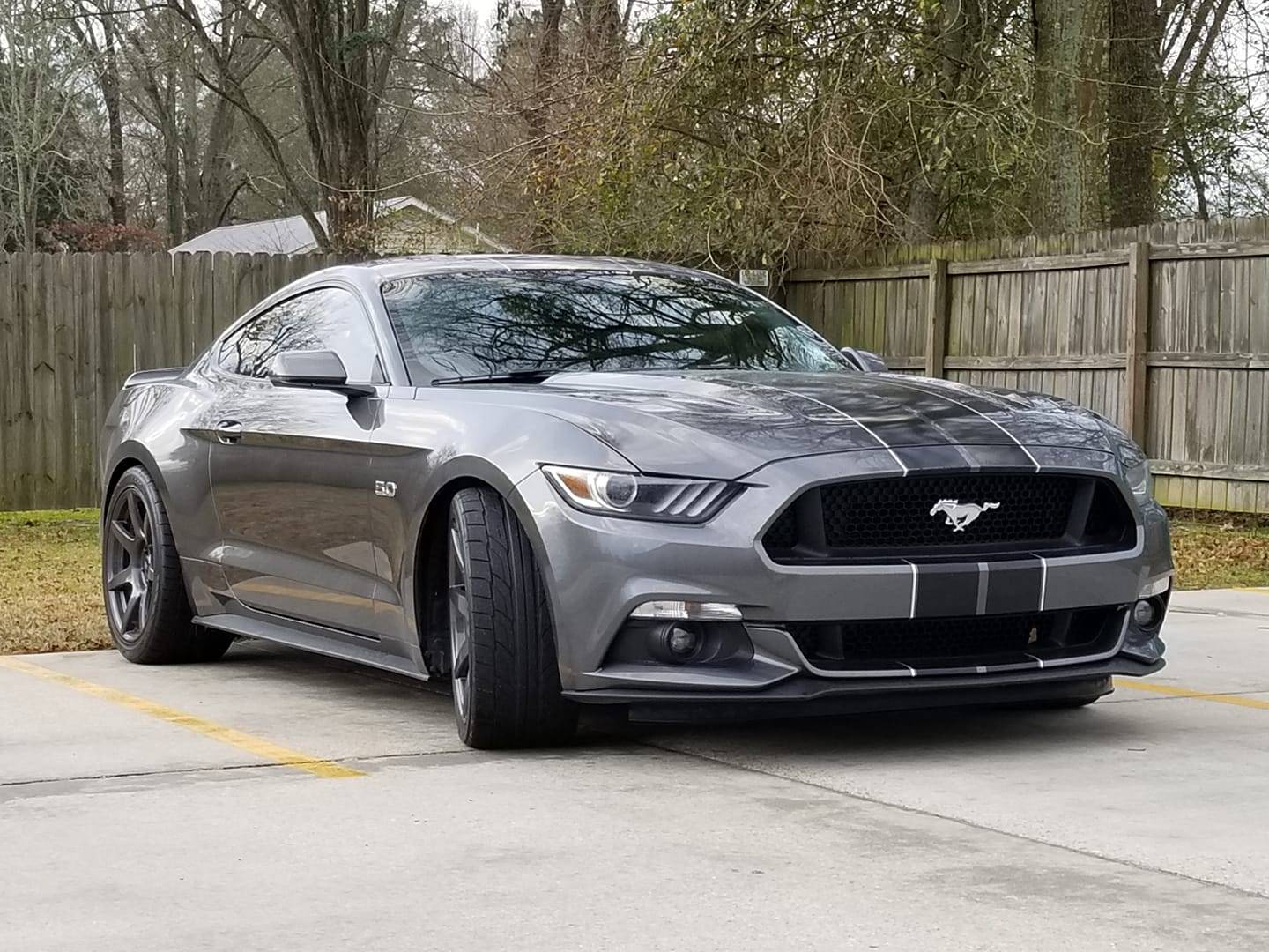 FEF1.jpg